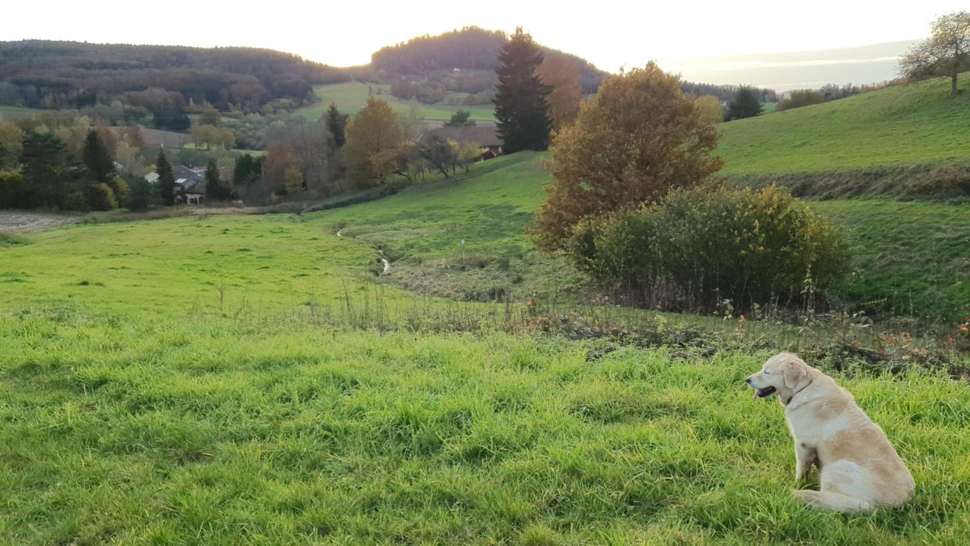 Apartmán S'Yvoux Plait La Chapelle  Exteriér fotografie